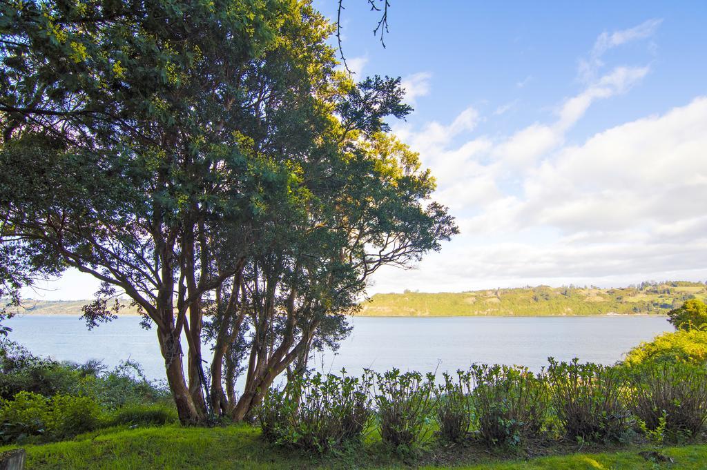 La Casa Del árbol De Chiloé * Castro