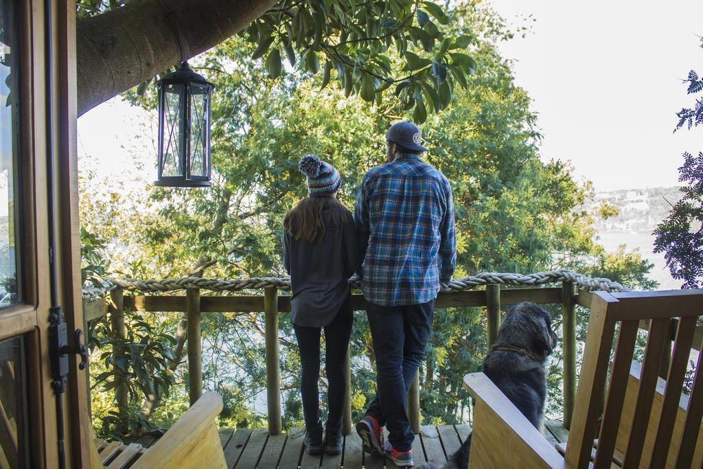 La Casa Del árbol De Chiloé Сasa de vacaciones Castro