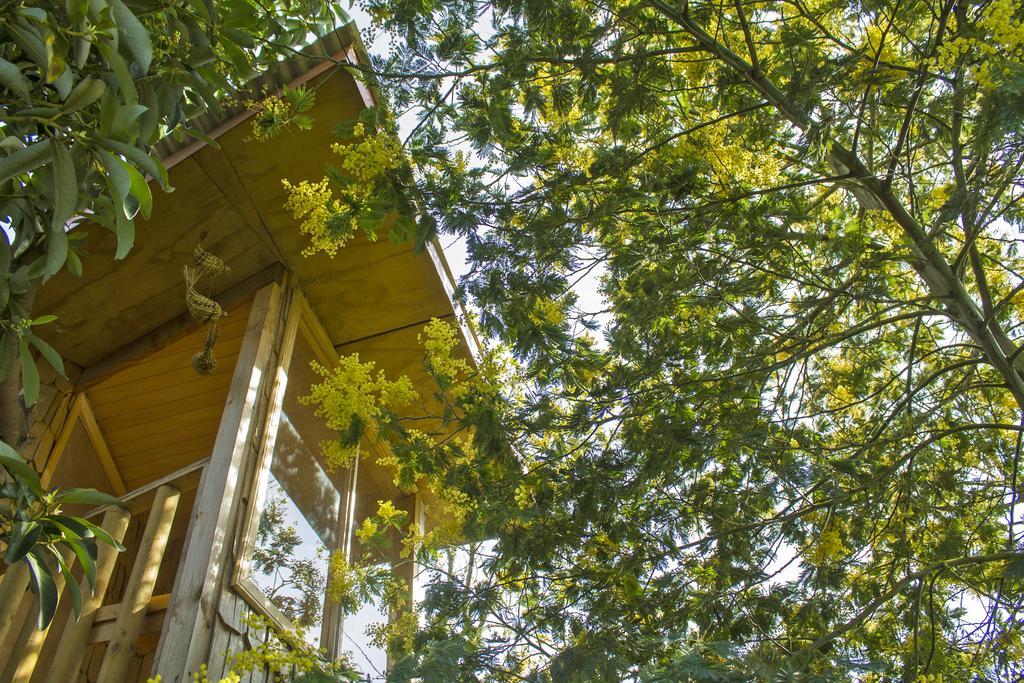 La Casa Del árbol De Chiloé Сasa de vacaciones Castro