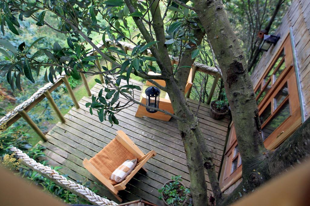 La Casa Del árbol De Chiloé * Castro