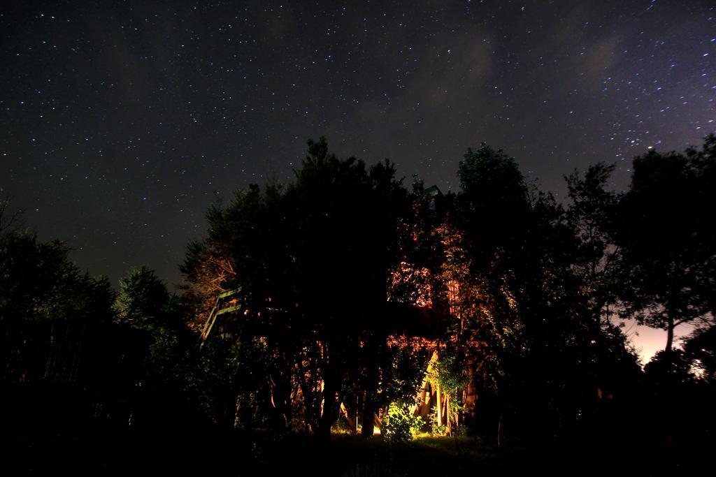 Сasa de vacaciones La Casa Del árbol De Chiloé