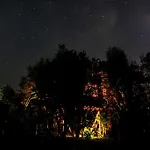 La Casa Del Árbol De Chiloé