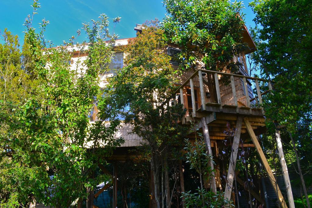 La Casa Del Arbol De Chiloe * Castro