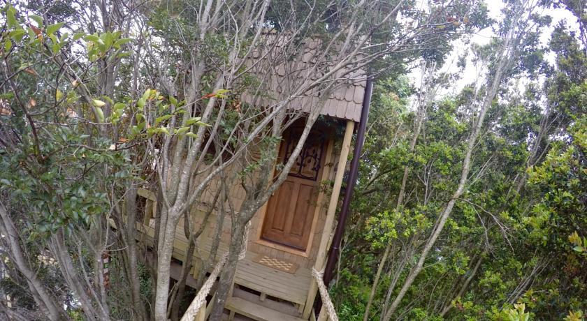 Casa de férias La Casa Del Arbol De Chiloe *