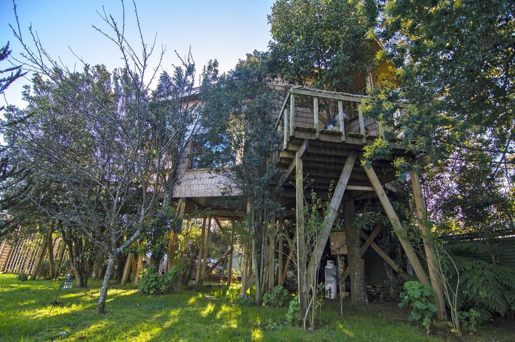 La Casa Del Arbol De Chiloe Casa de férias *